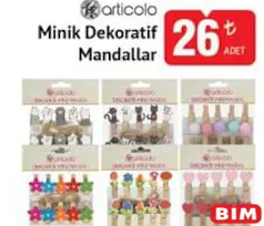 ARTİCOLO MİNİK DEKORATİF MANDALLAR
